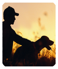 DF35-311 Gone Hunting (Dog)